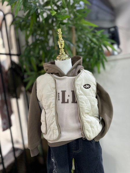 هودي مع ڤست